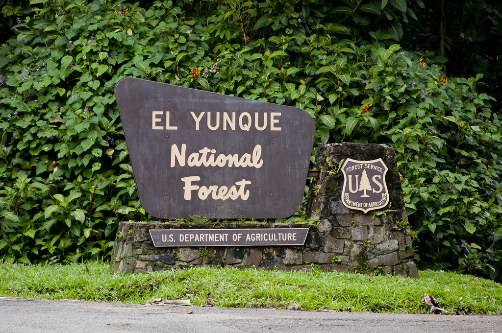 Entrance sign for El Yunque National Forest